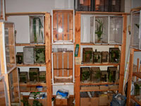 Another impression from our breeding room