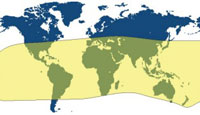 Map 2: Distribution of the Phasmatodea.